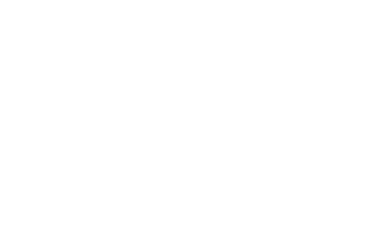 Nature's Edge Logo